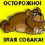 Ledi