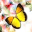 areya2542